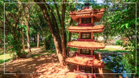 Jardim Japonês em Caldas Novas: Contato com a Natureza