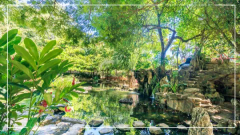 Jardim Japonês em Caldas Novas: Contato com a Natureza