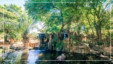 Jardim Japonês em Caldas Novas: Contato com a Natureza