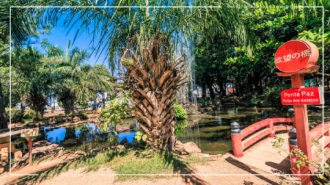 Jardim Japonês em Caldas Novas: Contato com a Natureza
