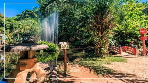 Jardim Japonês em Caldas Novas: Contato com a Natureza