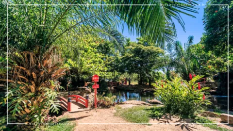 Jardim Japonês em Caldas Novas: Contato com a Natureza
