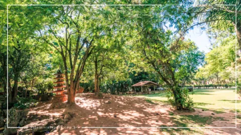 Jardim Japonês em Caldas Novas: Contato com a Natureza