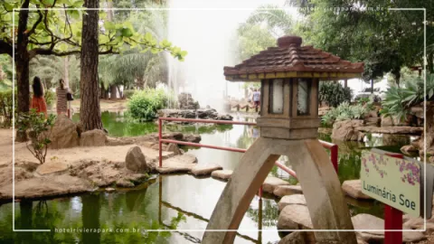 Jardim Japonês em Caldas Novas: Contato com a Natureza