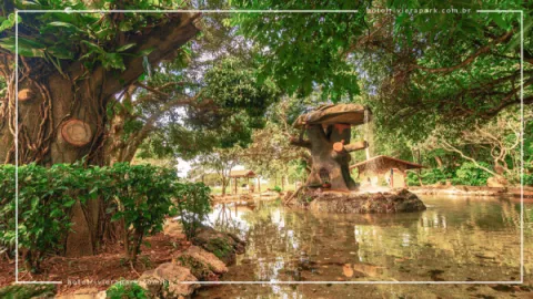 Jardim Japonês em Caldas Novas: Contato com a Natureza