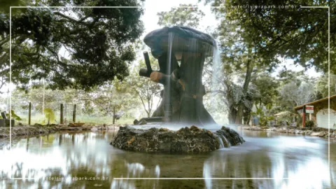 Jardim Japonês em Caldas Novas: Contato com a Natureza