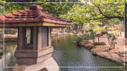 Jardim Japonês em Caldas Novas: Contato com a Natureza