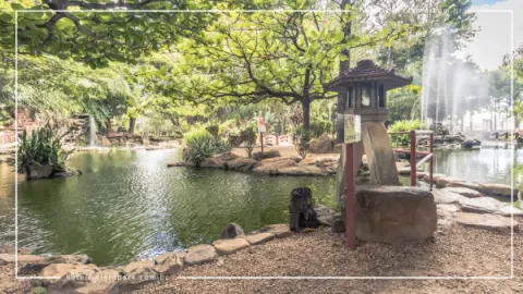 Jardim Japonês em Caldas Novas: Contato com a Natureza