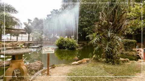 Jardim Japonês em Caldas Novas: Contato com a Natureza