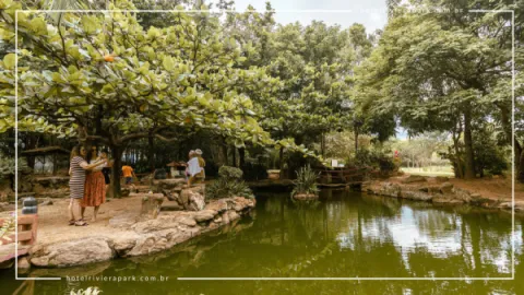 Jardim Japonês em Caldas Novas: Contato com a Natureza