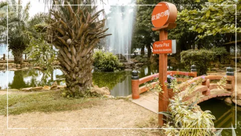 Jardim Japonês em Caldas Novas: Contato com a Natureza