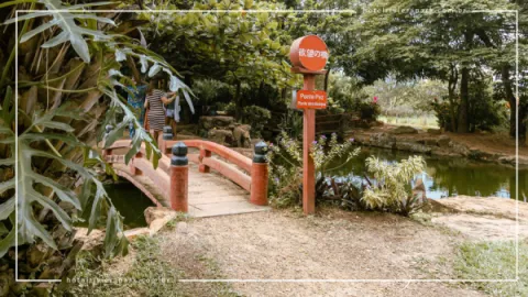 Jardim Japonês em Caldas Novas: Contato com a Natureza