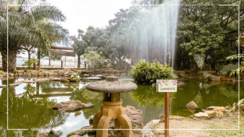 Jardim Japonês em Caldas Novas: Contato com a Natureza