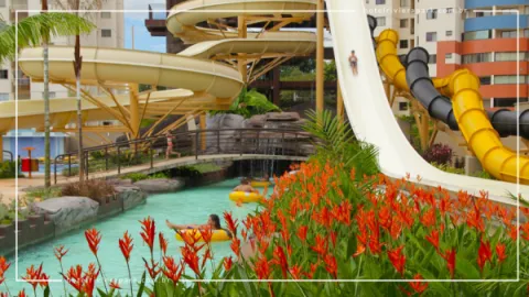 Quanto Custa o Ingresso do Water Park?