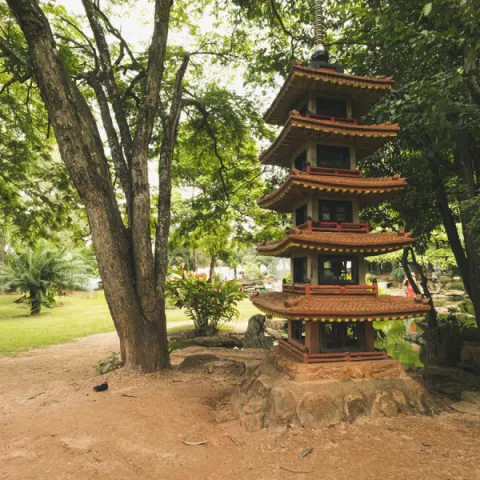 Foto demonstrativa de Jardim Japonês em Caldas Novas
